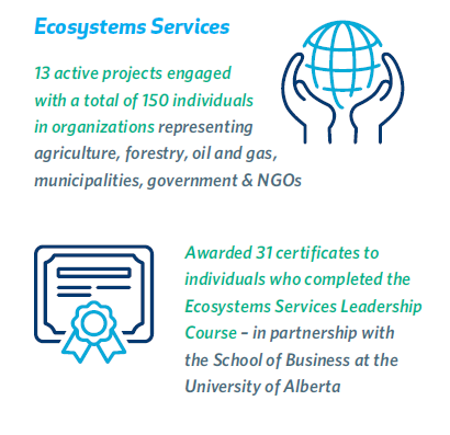 A graphic illustrating the number of active projects and number of awarded certificates Ecosystem Services has ongoing. 