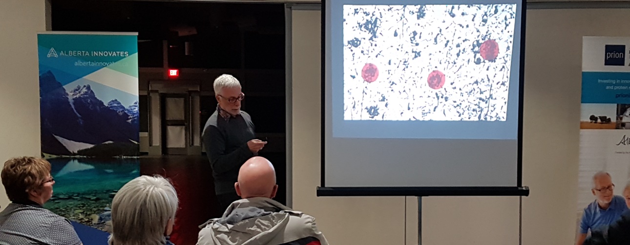 Shedding Light On The Impact Of Prions On Animals And Prions - 