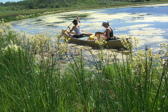 Agriculture Environment Program Alberta Innovates