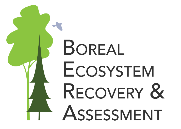 Boreal Ecosystem Recovery & Assessment project logo