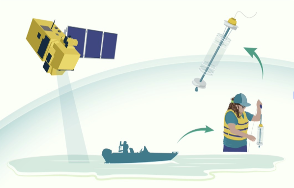 An image illustrating Rolf Vinebrooke's UofA project